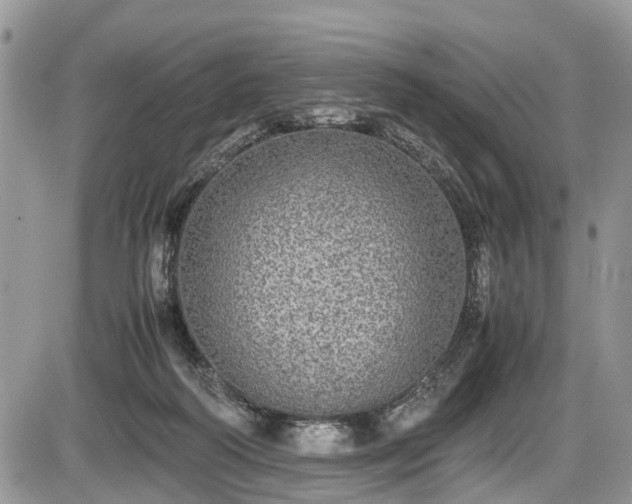 X0000085810218200703231344