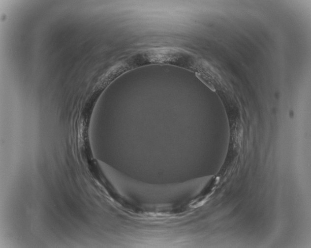 X0000085810219200703231344