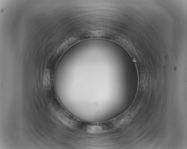 X0000085810220200703231344