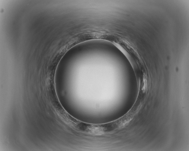 X0000085810221200703231344