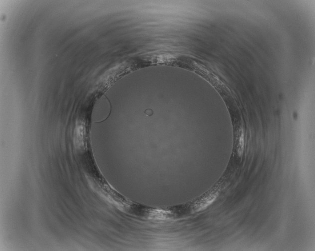 X0000085810222200703231344