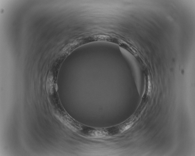 X0000085810223200703231344