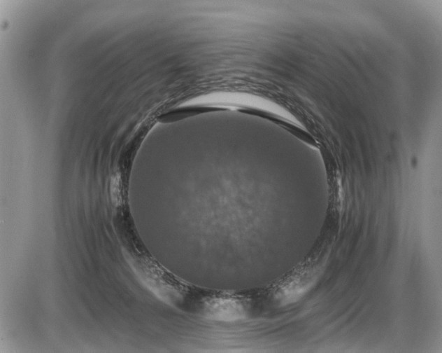 X0000085810224200703231344