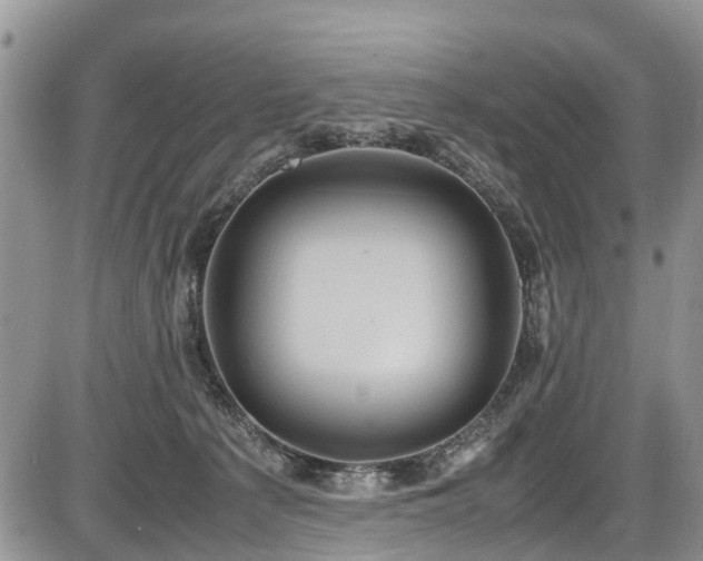 X0000085810225200703231344