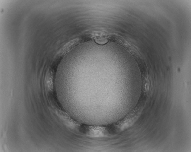 X0000085810226200703231344