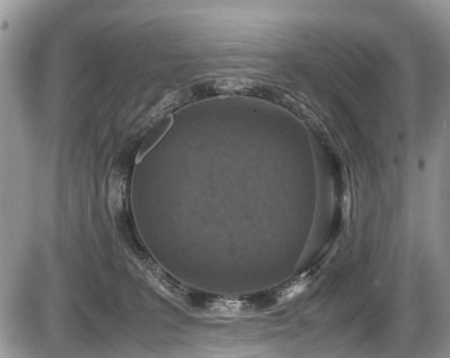 X0000085810227200703231344