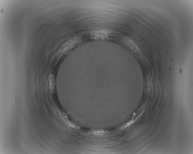 X0000085810228200703231344