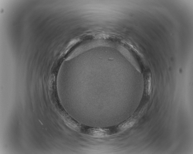 X0000085810229200703231344