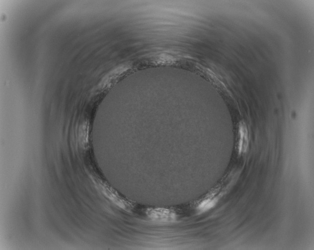 X0000085810230200703231344