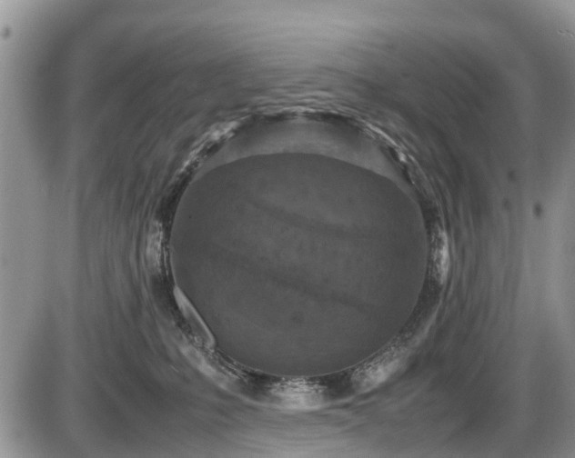 X0000085810231200703231344