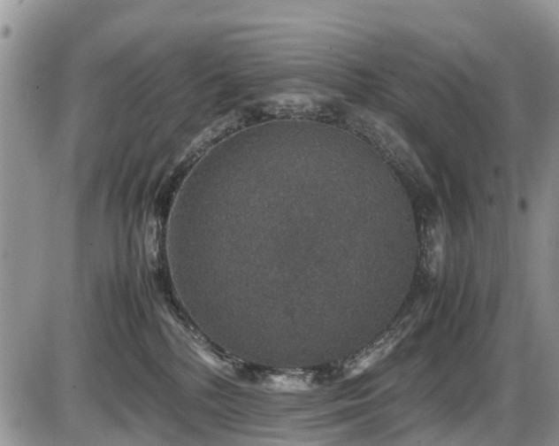 X0000085810232200703231344