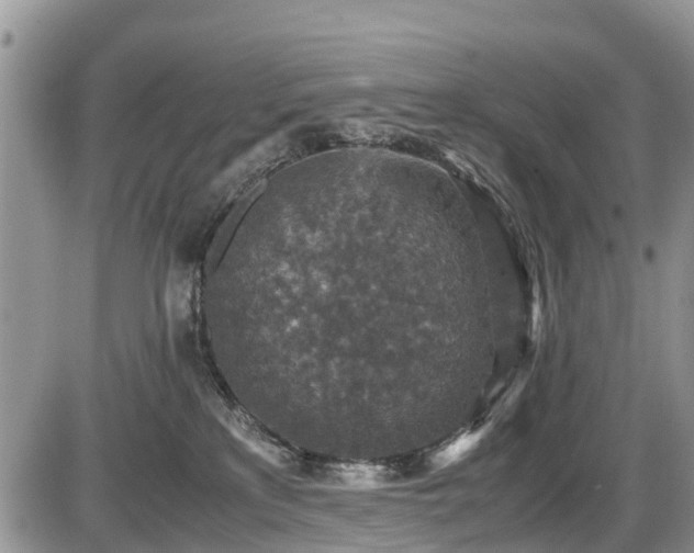 X0000085810233200703231344