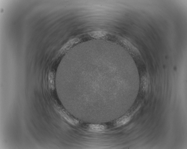 X0000085810234200703231344