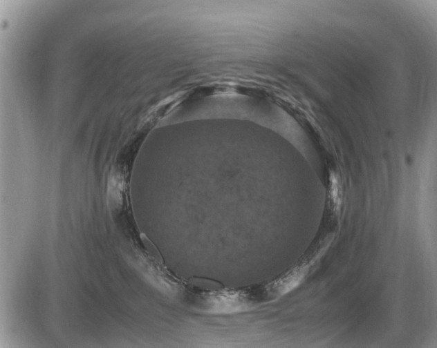 X0000085810235200703231344