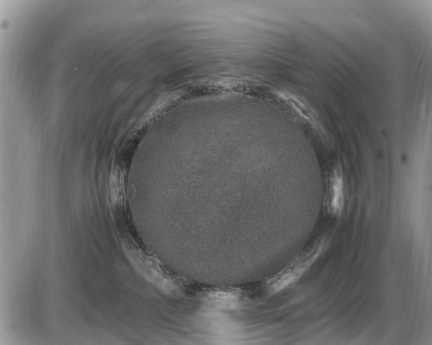 X0000085810236200703231344