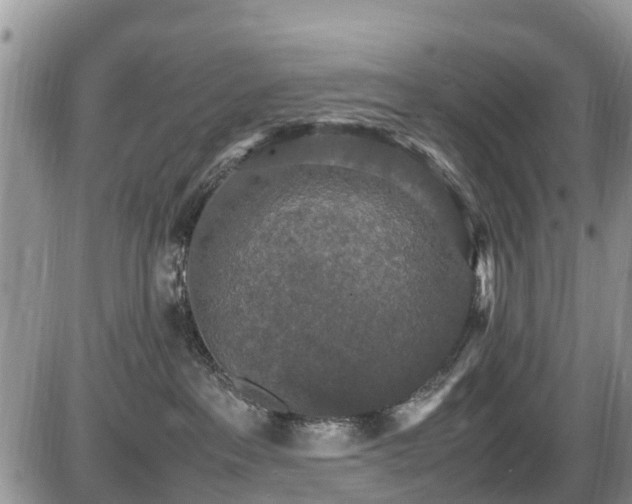 X0000085810237200703231344