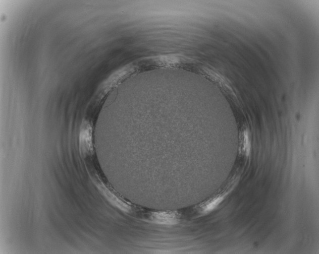 X0000085810238200703231344