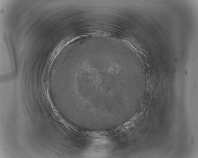 X0000085810241200703231343