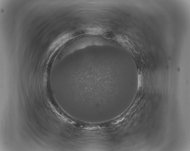 X0000085810243200703231343