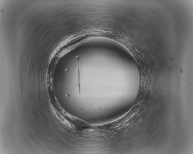 X0000085810244200703231343