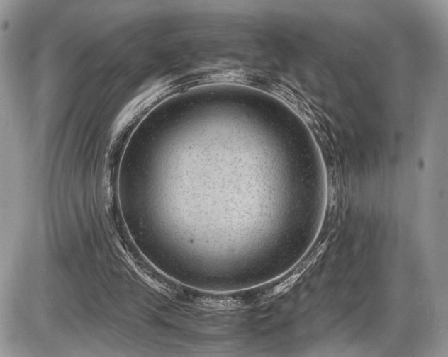 X0000085810245200703231343