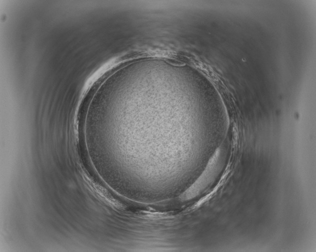 X0000085810246200703231343