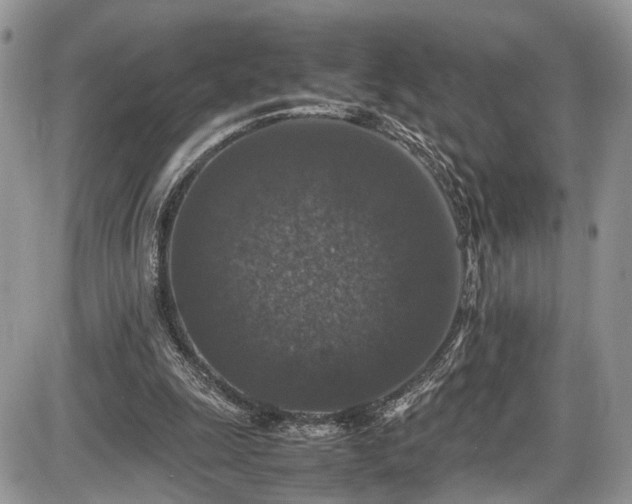 X0000085810247200703231343