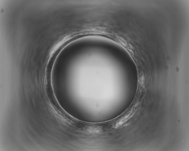 X0000085810248200703231343