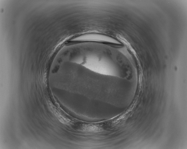 X0000085810249200703231343