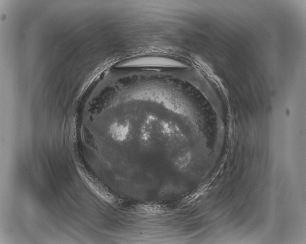 X0000085810250200703231343