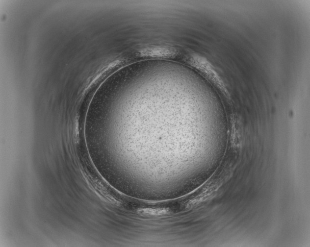 X0000085810251200703231343