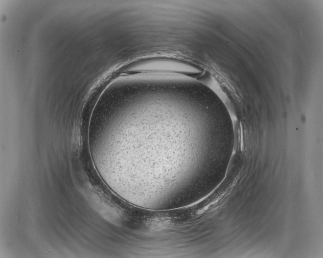 X0000085810252200703231343