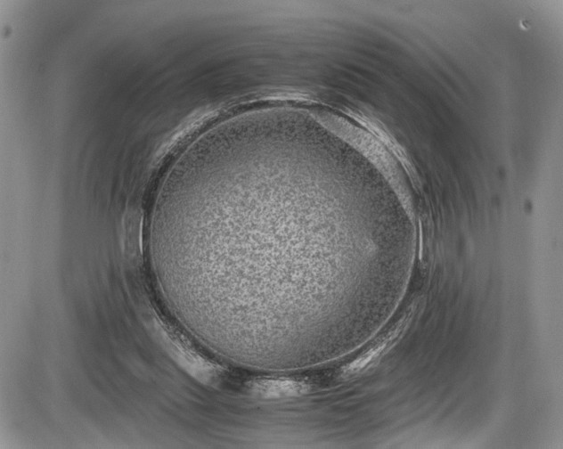 X0000085810253200703231343