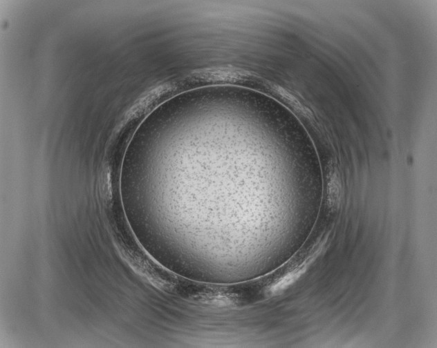 X0000085810254200703231343