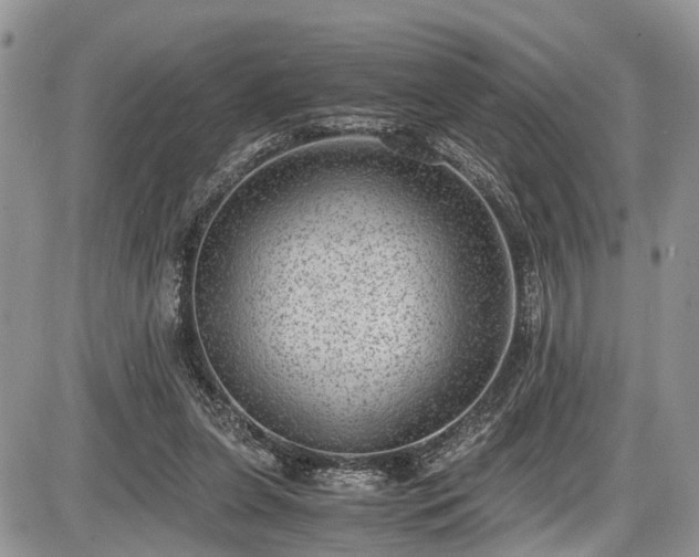 X0000085810255200703231343