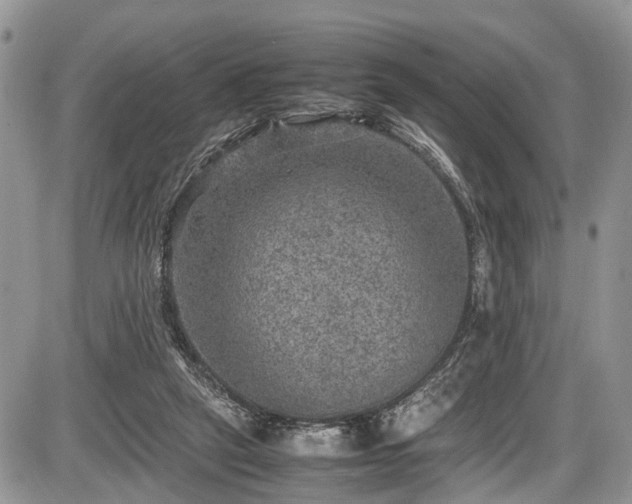 X0000085810257200703231343