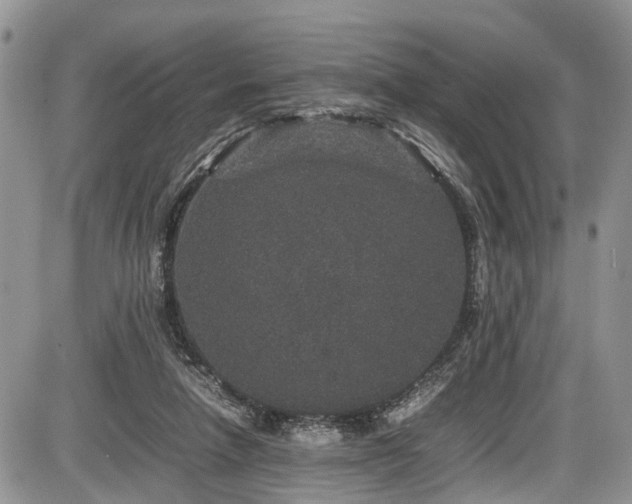 X0000085810258200703231343