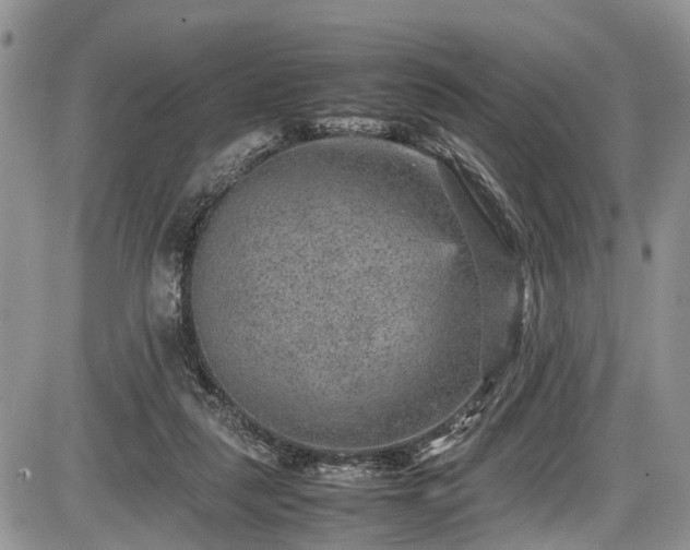 X0000085810259200703231343