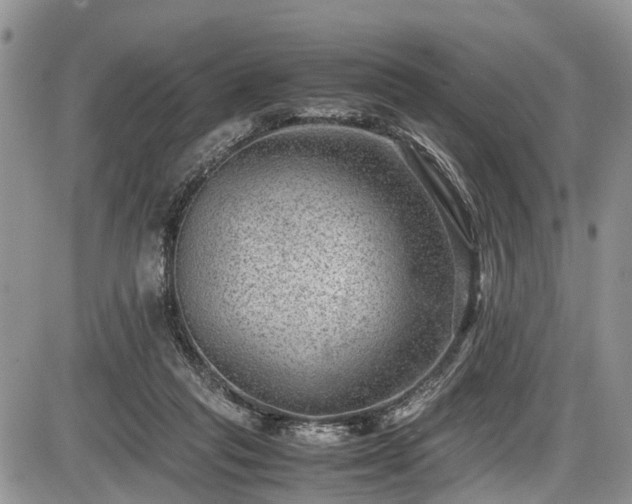 X0000085810261200703231343