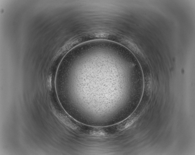 X0000085810262200703231343