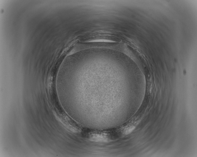 X0000085810263200703231343