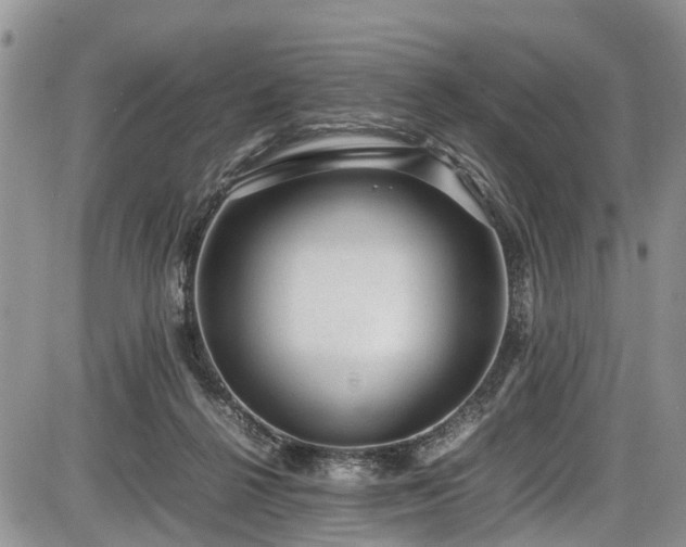 X0000085810264200703231343