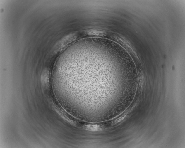 X0000085810265200703231343