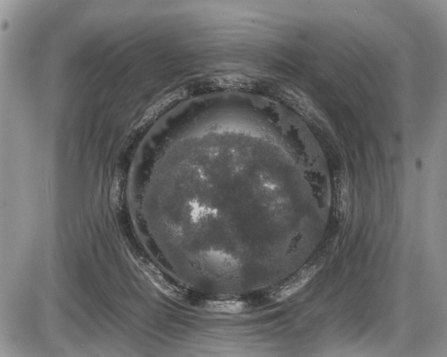 X0000085810266200703231343