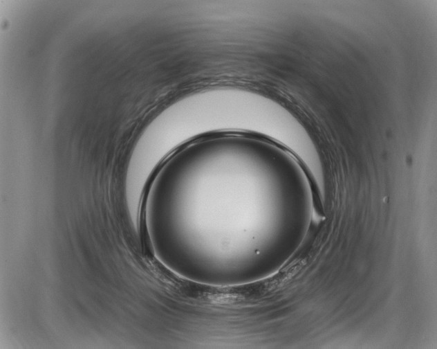 X0000085810268200703231343