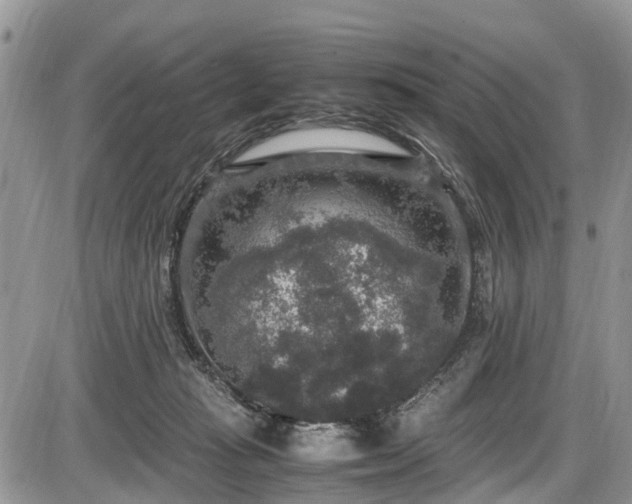 X0000085810269200703231343