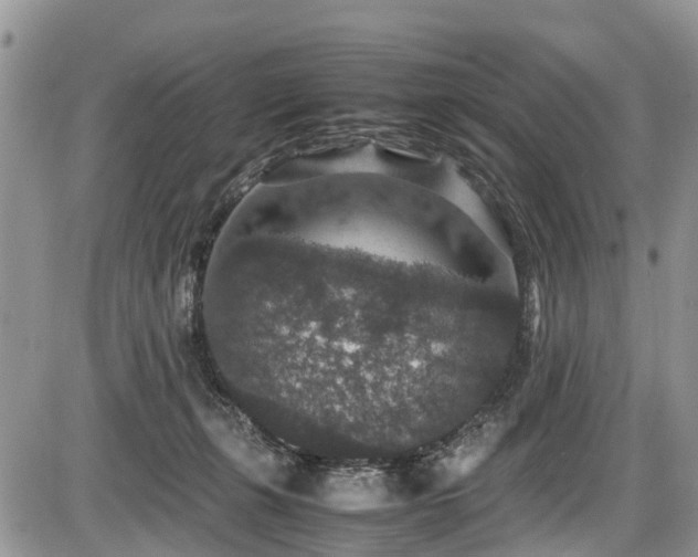 X0000085810271200703231344