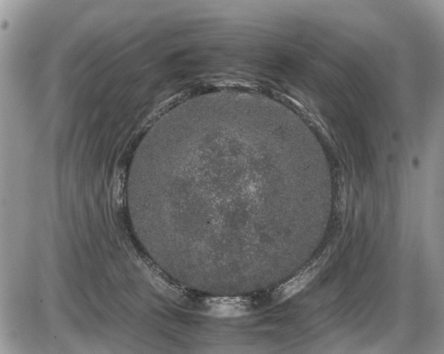 X0000085810273200703231344