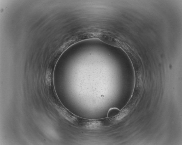 X0000085810274200703231344