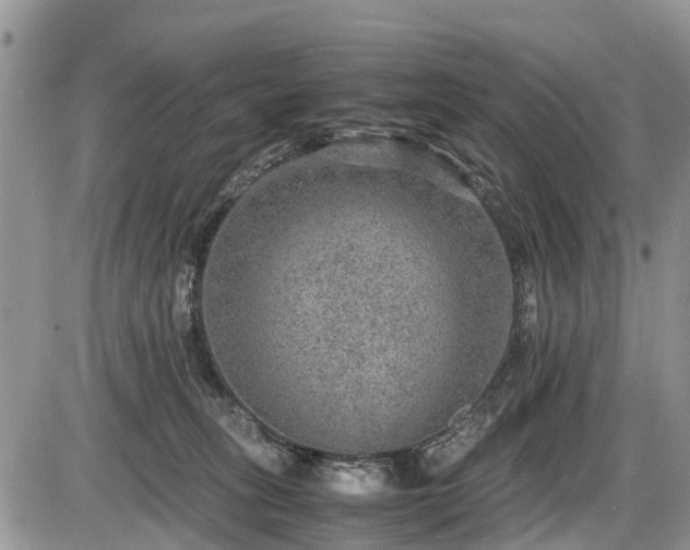 X0000085810275200703231344